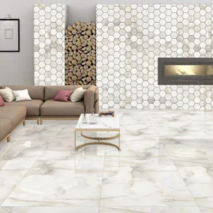 Aquarius Grey Polished 60x120