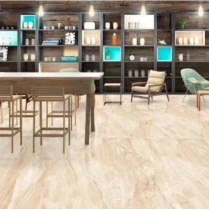 Dayana Polished 60x120
