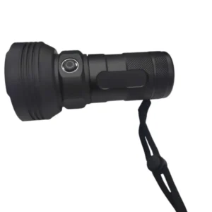 ФернерW5202-1(31LED)