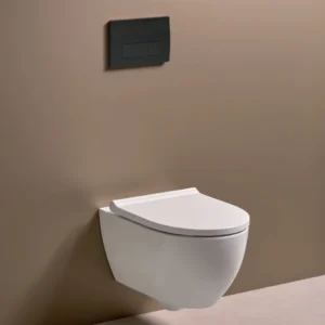 GEBERIT Delta50 Black с тоалетна Geberit Pravello Rimfree