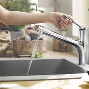 Hansgrohe Zesis M33 Смесител за кухня 74800000