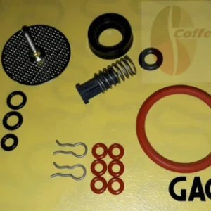 Saeco Gaggia Parts Set - Repair Kit Titanium, Titanium plus, Magic, Incanto