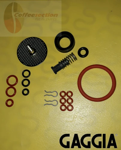 Saeco Gaggia Parts Set - Repair Kit Titanium, Titanium plus, Magic, Incanto
