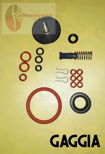 Saeco Gaggia Parts Set - Repair Kit Titanium, Titanium plus, Magic, Incanto