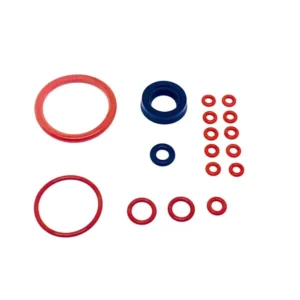 Saeco Magic Royal Incanto Complete Gasket Kit - 17 piece set