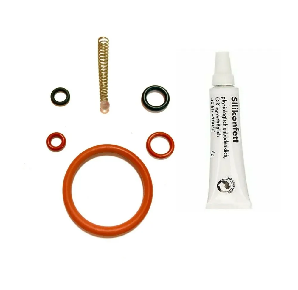 Saeco Odea, Talea, Primea, Xsmall Brew Group Repair Kit & 6g Silicon Grease