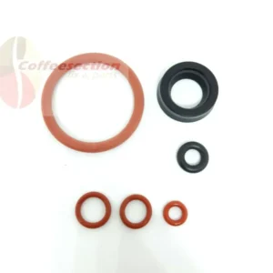 SAECO PARTS - GAGGIA REPAIR SMALL KIT - VIENNA, MAGIC, INCANTO, ROYAL, TITANIUM
