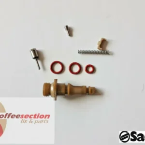 Saeco set - Boiler Valve kit Vienna, Magic, Royal, Rotel