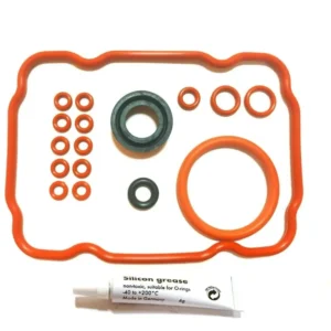 Saeco Vienna, Spidem Trevi, Chiara, Villa Repair Kit Silicon - 18 piece set