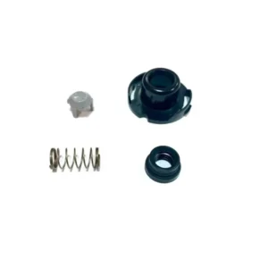 Saeco Water Tank Kit Granbaristo, PicoBaristo, Lirika, Incanto HD8916 - 4 piece set