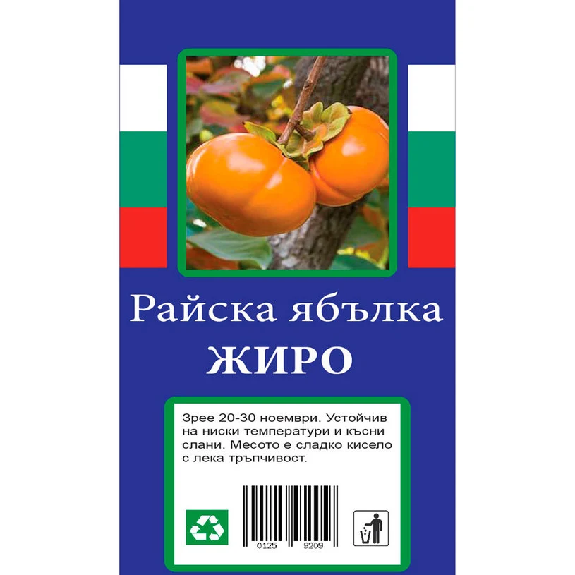 РАЙСКА ЯБЪЛКА С ПАКЕТИРАН КОРЕН