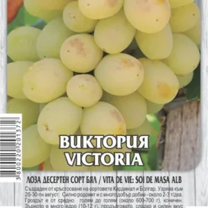 ЛОЗА ВИКТОРИЯ БЯЛ ДЕСЕРТЕН СОРТ