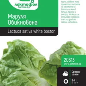 СЕМЕНА МАРУЛЯ ОБИКНОВЕНА БОТАНИК