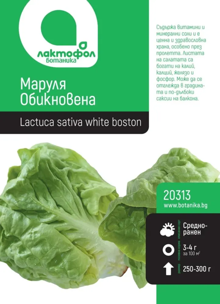 СЕМЕНА МАРУЛЯ ОБИКНОВЕНА БОТАНИК