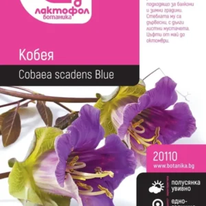 СЕМЕНА КОБЕЯ БОТАНИК