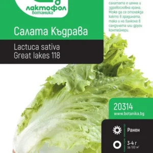 СЕМЕНА САЛАТА КЪДРАВА БОТАНИК