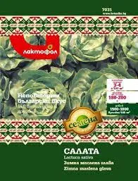 Български семена зимна маслена глава 7031