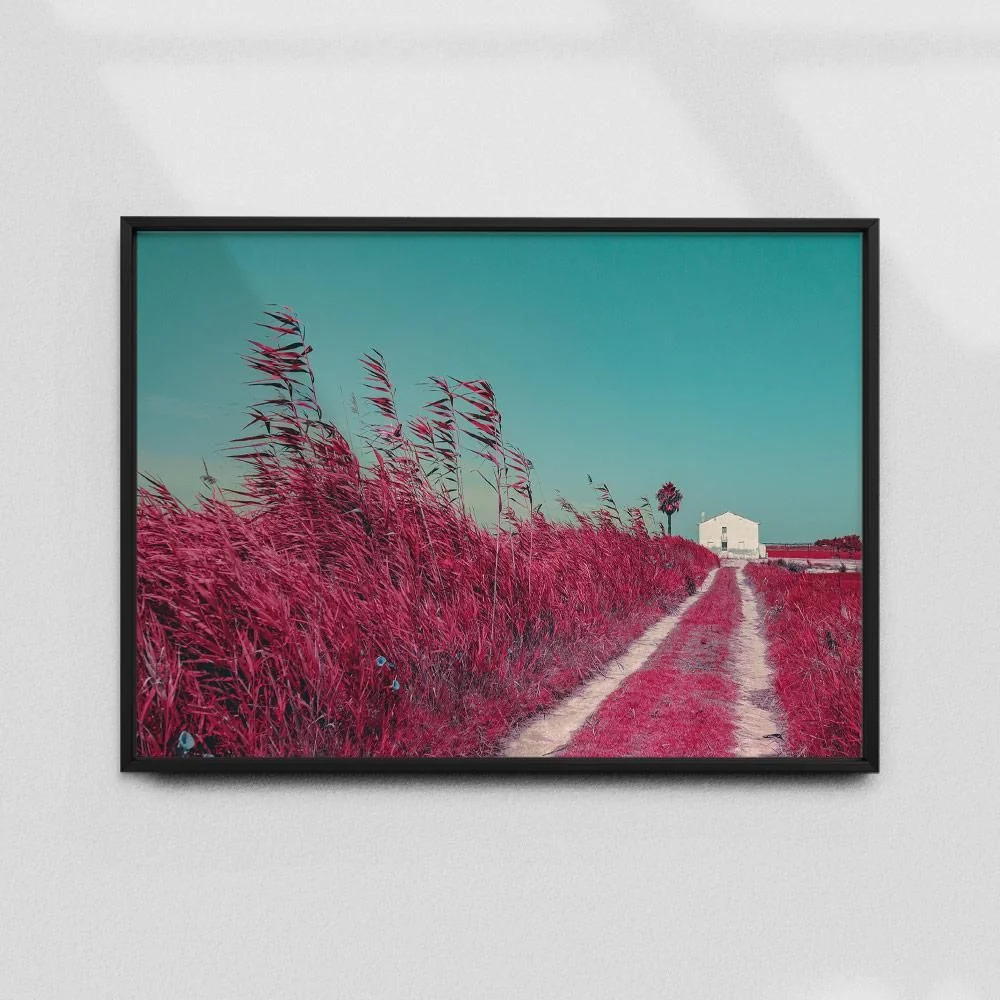 Постер "Albufera-Infrared"- - #41