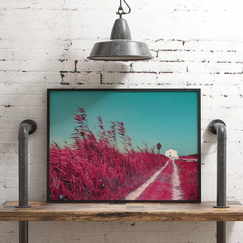 Постер "Albufera-Infrared"- - #41