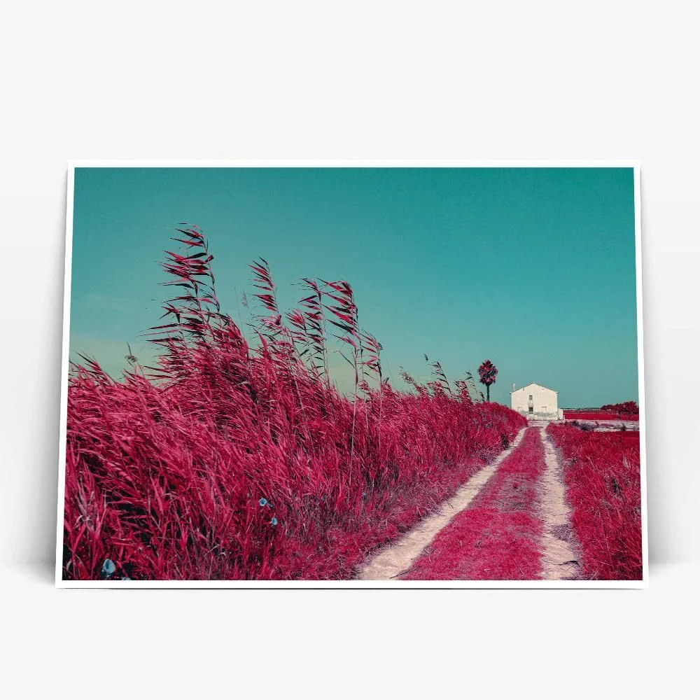 Постер "Albufera-Infrared"- - #41