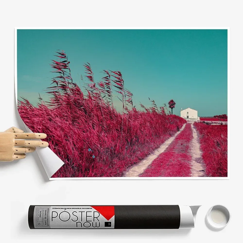 Постер "Albufera-Infrared"- - #41