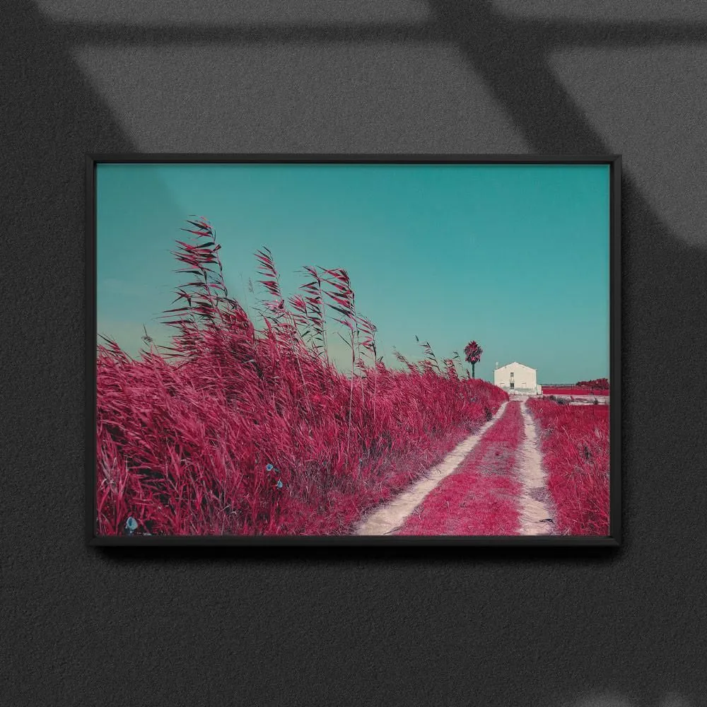 Постер "Albufera-Infrared"- - #41