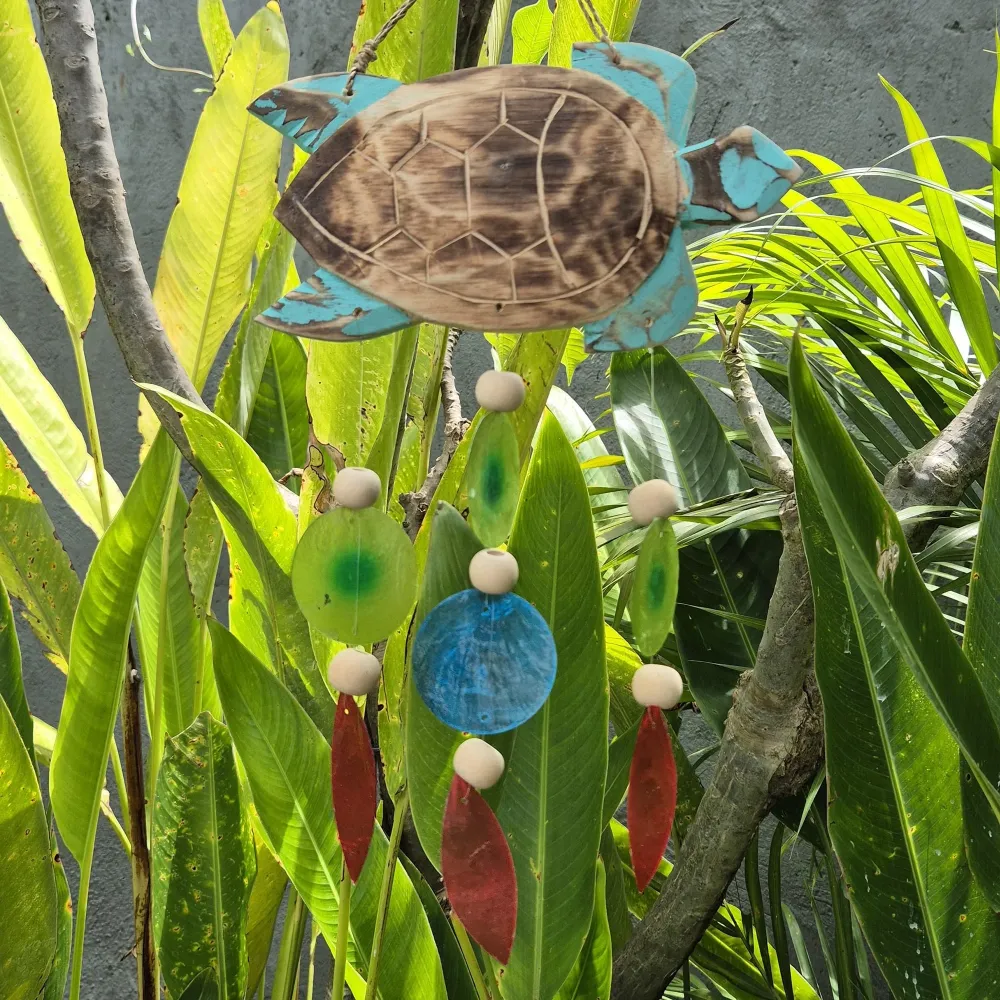 Гравирана костенурка Aqua и Copis капка