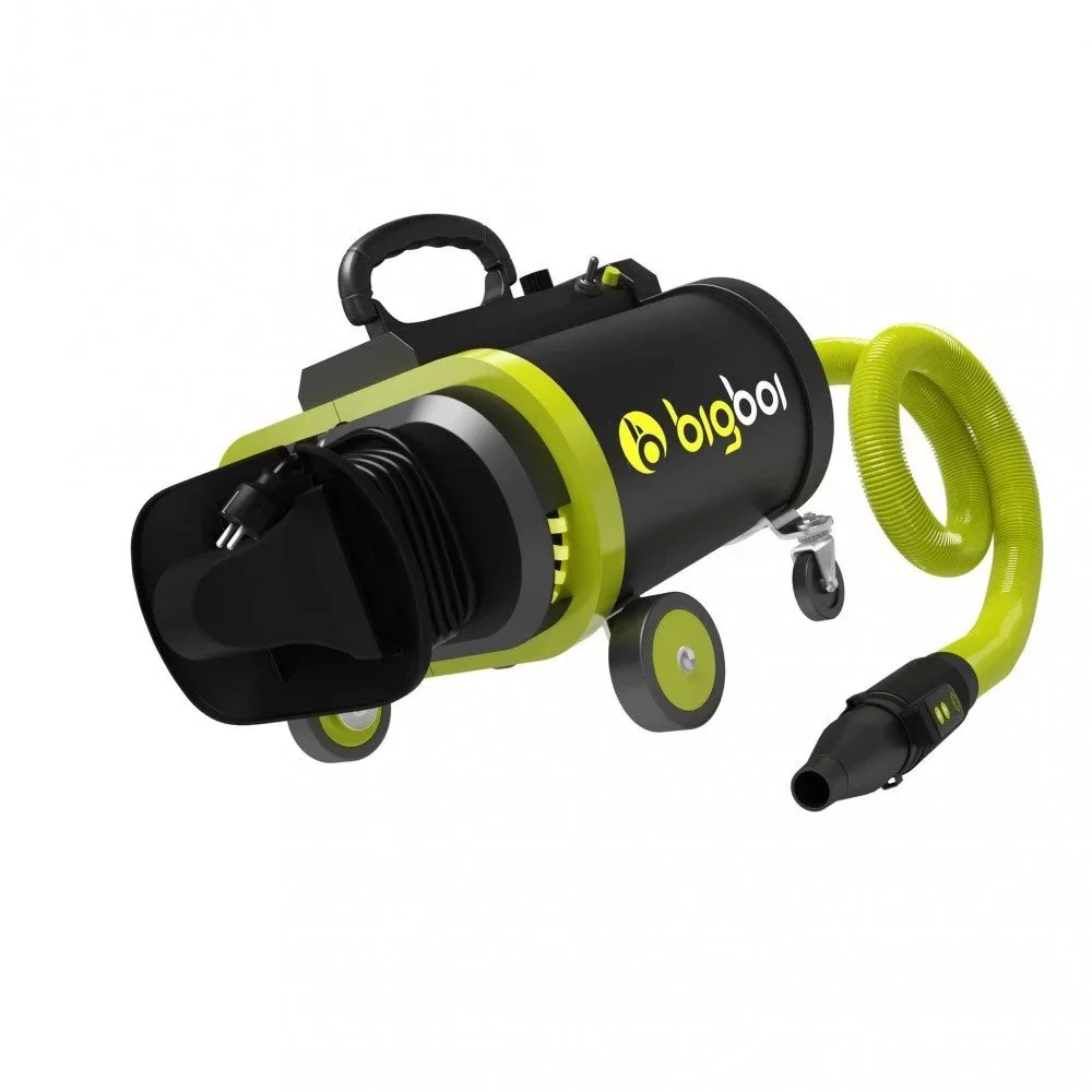 Bigboi BlowR Pro Plus