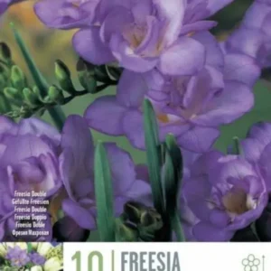 ФРЕЗИЯ DOUBLE BLUE 10 БР