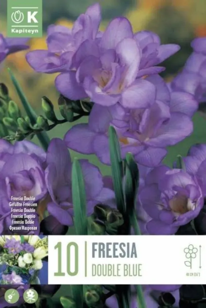 ФРЕЗИЯ DOUBLE BLUE 10 БР