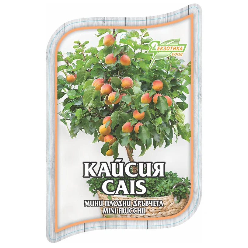 МИНИ ПЛОДНИ ДРЪВЧЕТА EKZOTIKA