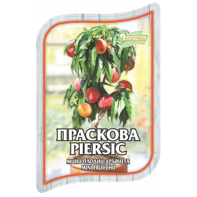 МИНИ ПЛОДНИ ДРЪВЧЕТА EKZOTIKA