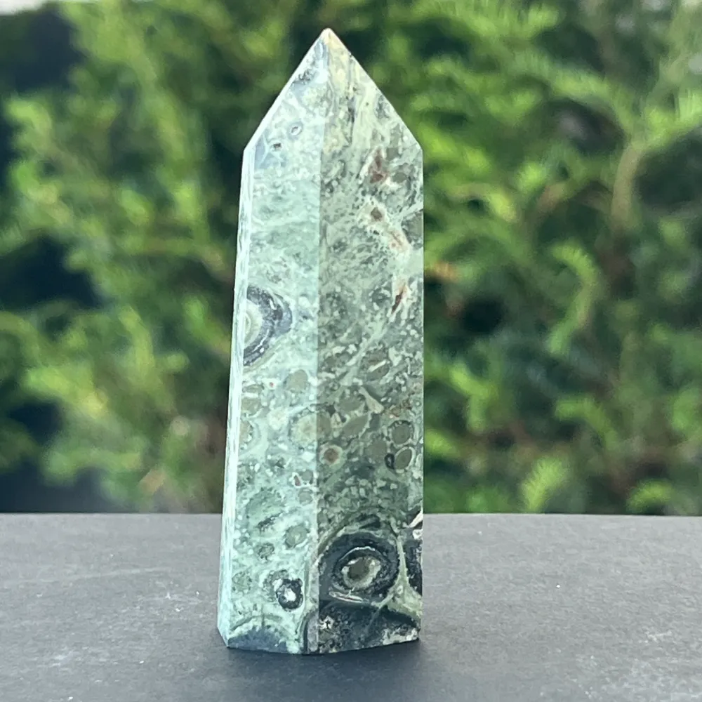 Jasper Obelisk Kambaba Madagascar модел 2