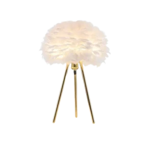 Lumière de Plume