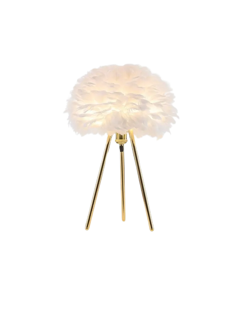 Lumière de Plume