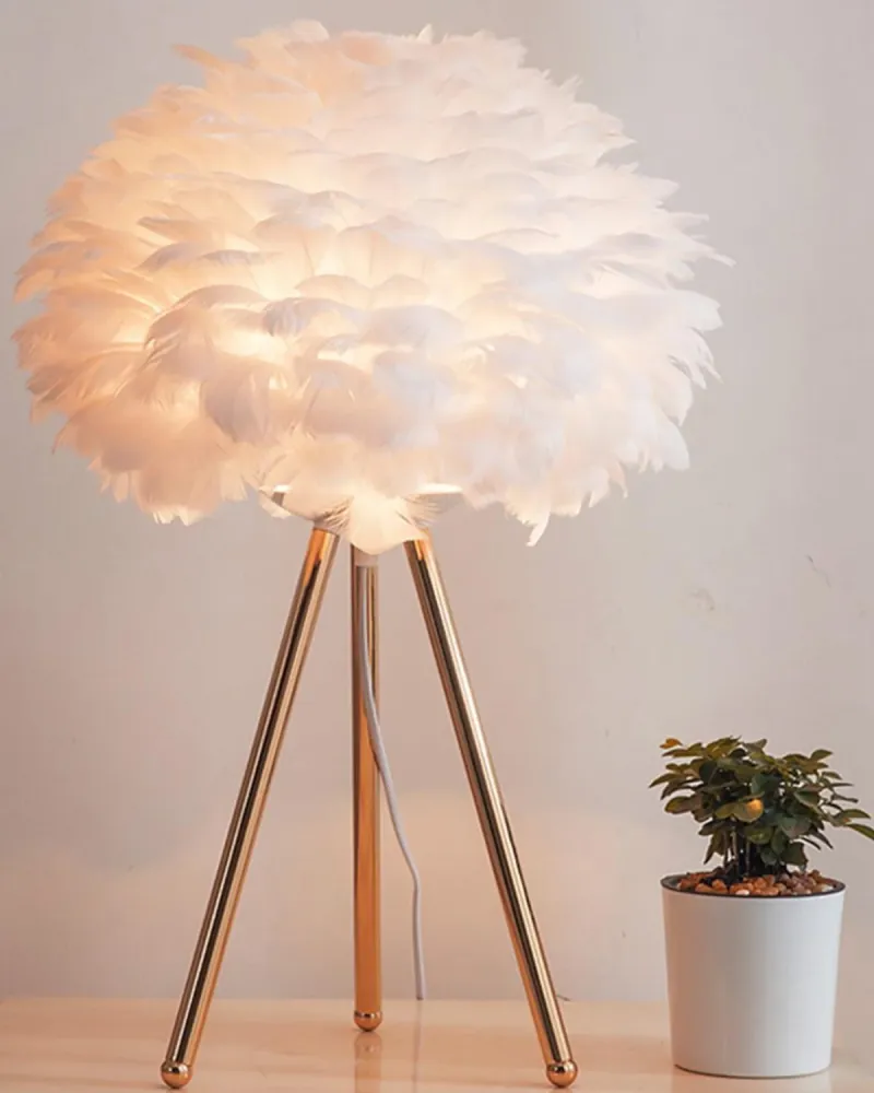 Lumière de Plume