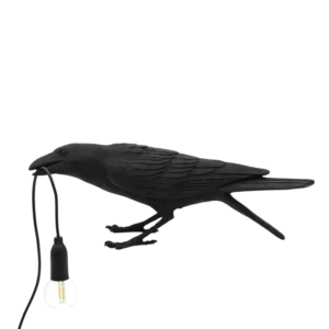La Nuit du Corbeau