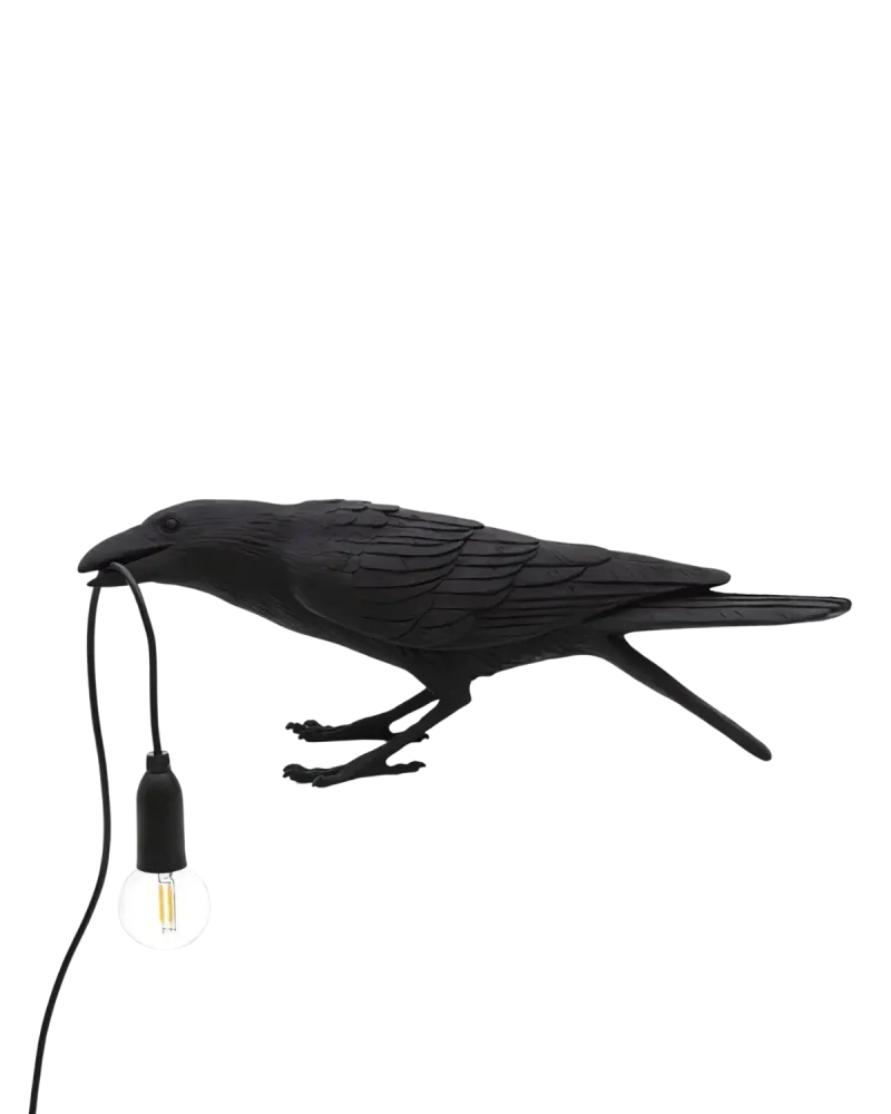 La Nuit du Corbeau