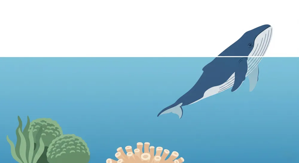 Papel de parede crianç | Baleias e corais submarinos