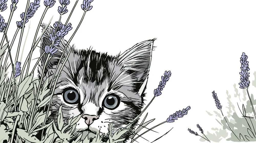Papel de parede crianç | Curioso gatinho entre as lavandas