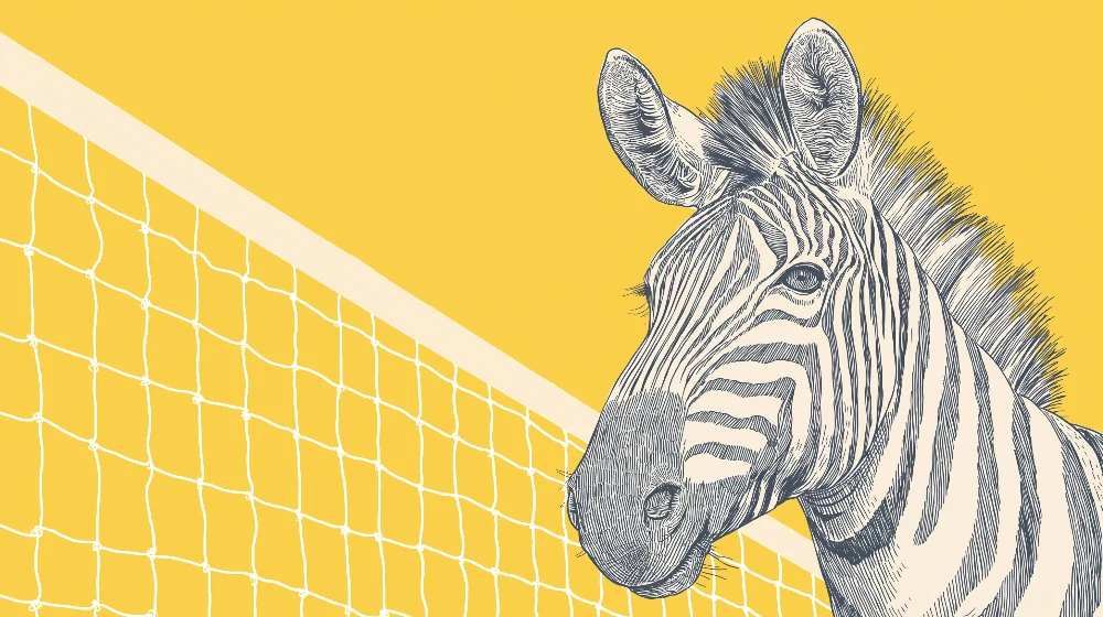 Papel de parede crianç | Divertida zebra em fundo amarelo com rede de esportes