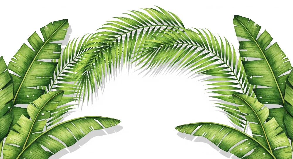 Papel de parede crianç | Folhas tropicais luxuriantes em fundo branco