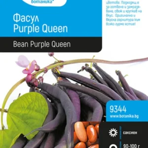 СЕМЕНА ФАСУЛ PURPLE QUEEN БОТАНИКА 50Г