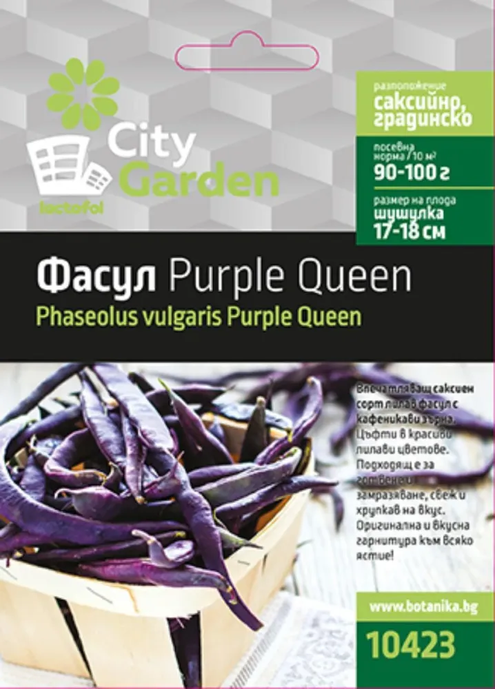СЕМЕНА ФАСУЛ PURPLE QUEEN CITY GARDEN