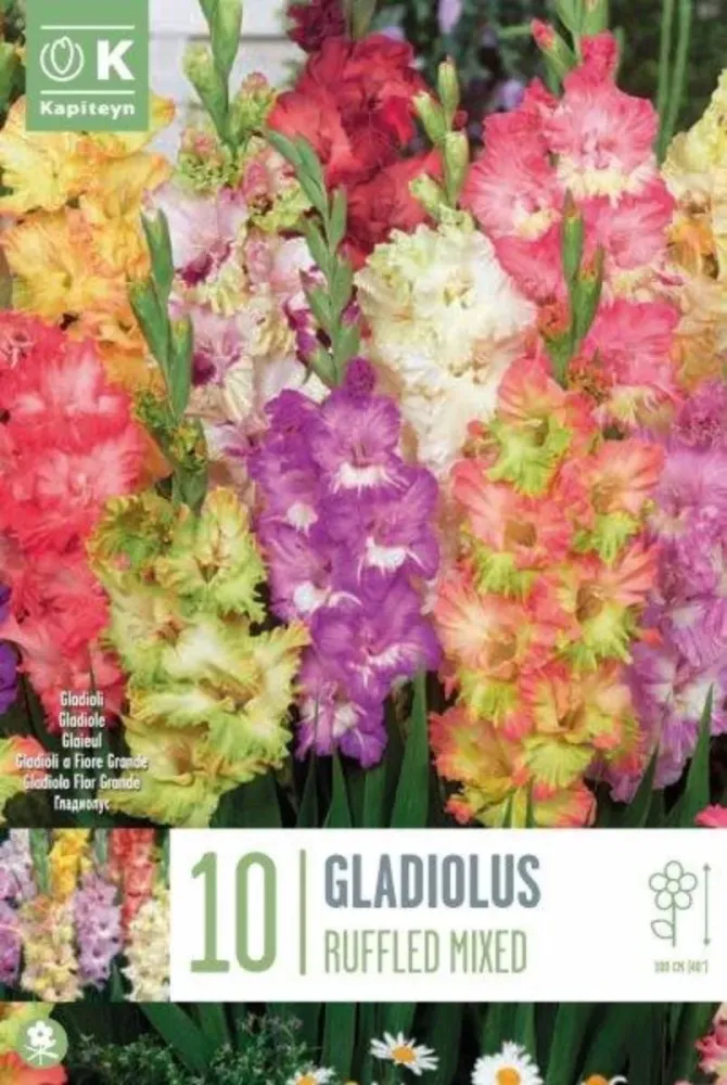 ГЛАДИОЛ RUFFLED MIXED COLOURS 10БР