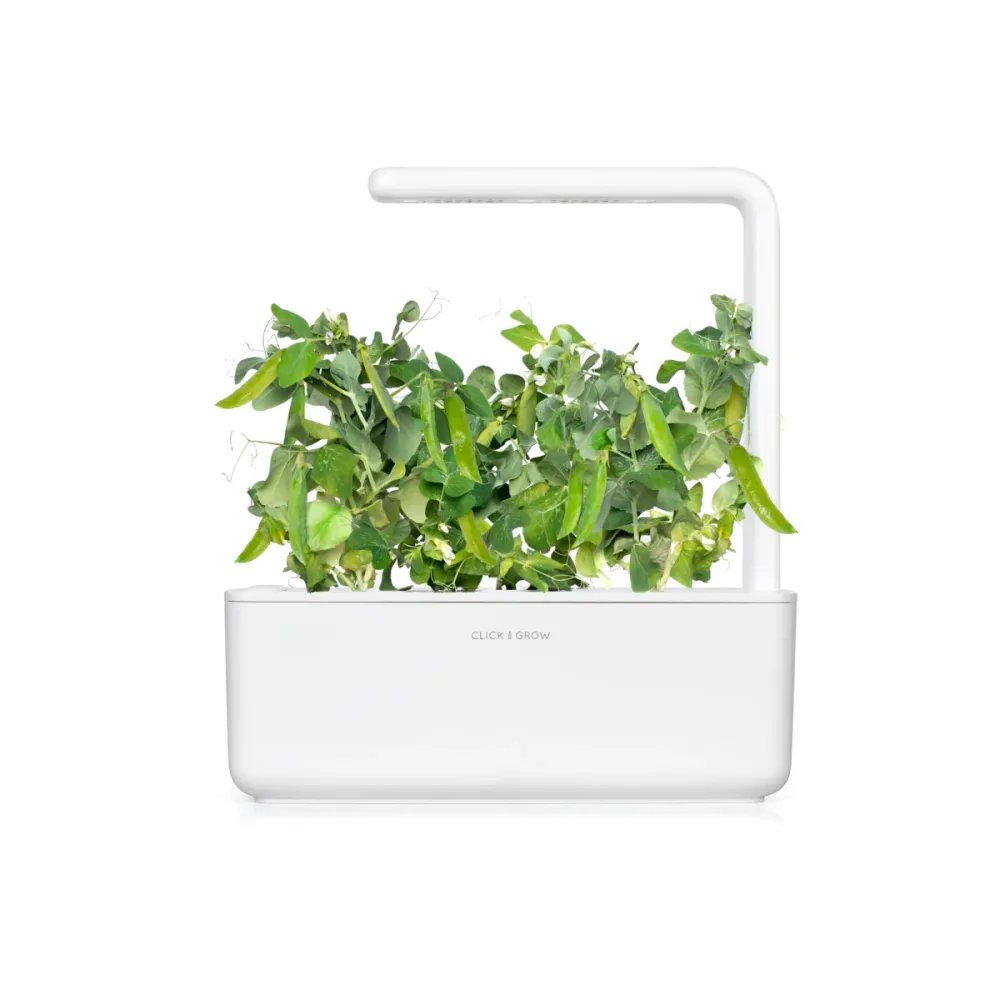 Мини грах - 3 капсули семена за Smart Garden