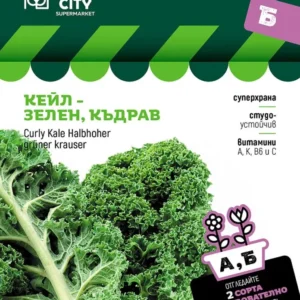 СЕМЕНА КЕЙЛ - ЗЕЛЕН SUPERMARKET