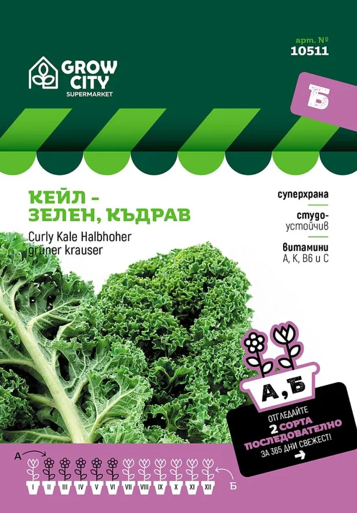СЕМЕНА КЕЙЛ - ЗЕЛЕН SUPERMARKET