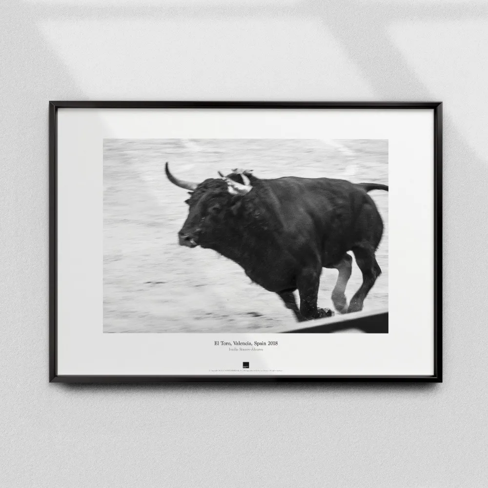 Постер "El Toro, Valencia" - #13
