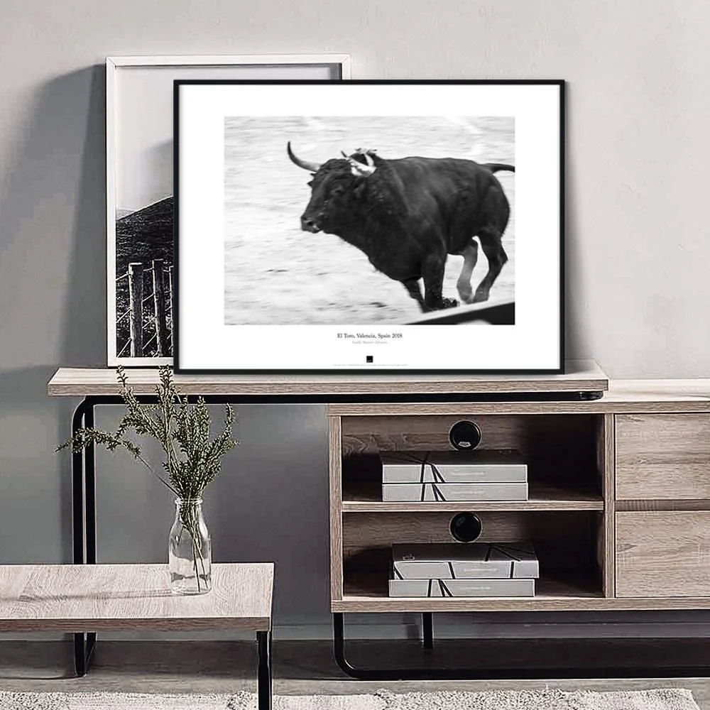 Постер "El Toro, Valencia" - #13